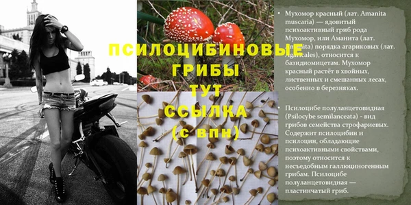 мескалин Аркадак