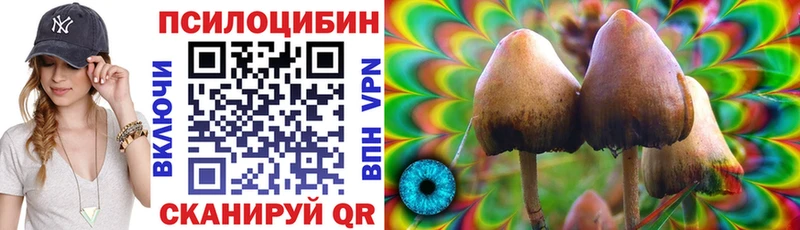 Галлюциногенные грибы Magic Shrooms  Вельск 